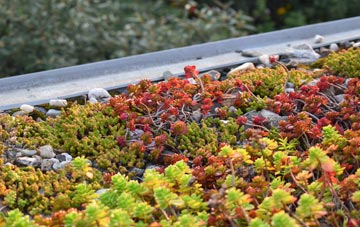 the cost of Steelend green roof installation