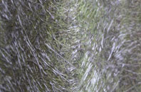 Steelend fibreglass roof work